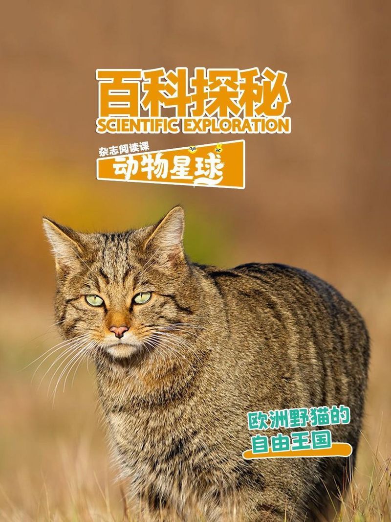 Encyclopedia Exploring Animal Planet