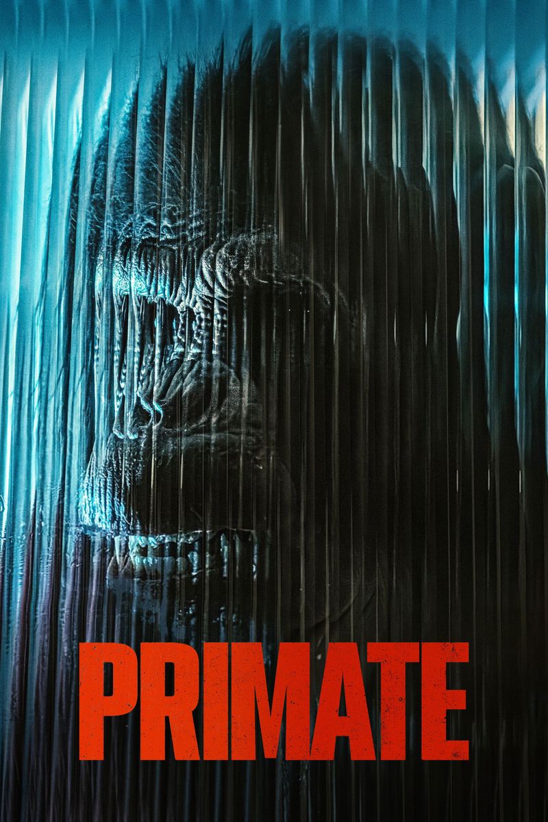 Primate